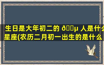 生日是大年初二的 🐵 人是什么星座(农历二月初一出生的是什么星 🌿 座)